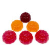 Herbaland Gummies Vitamin C